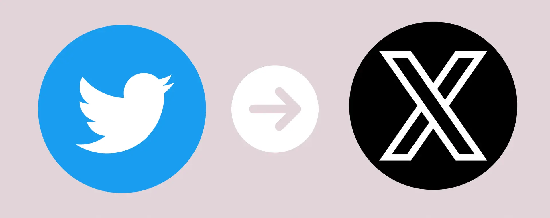 Twitter for business
